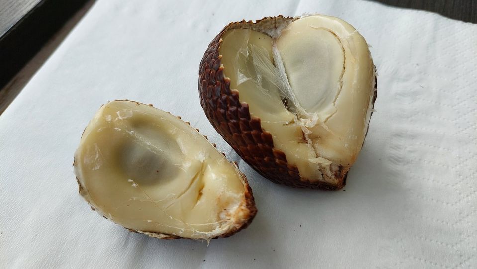 央廣印尼聽友會，客家鬥熱鬧，國際廣播魅力無法擋