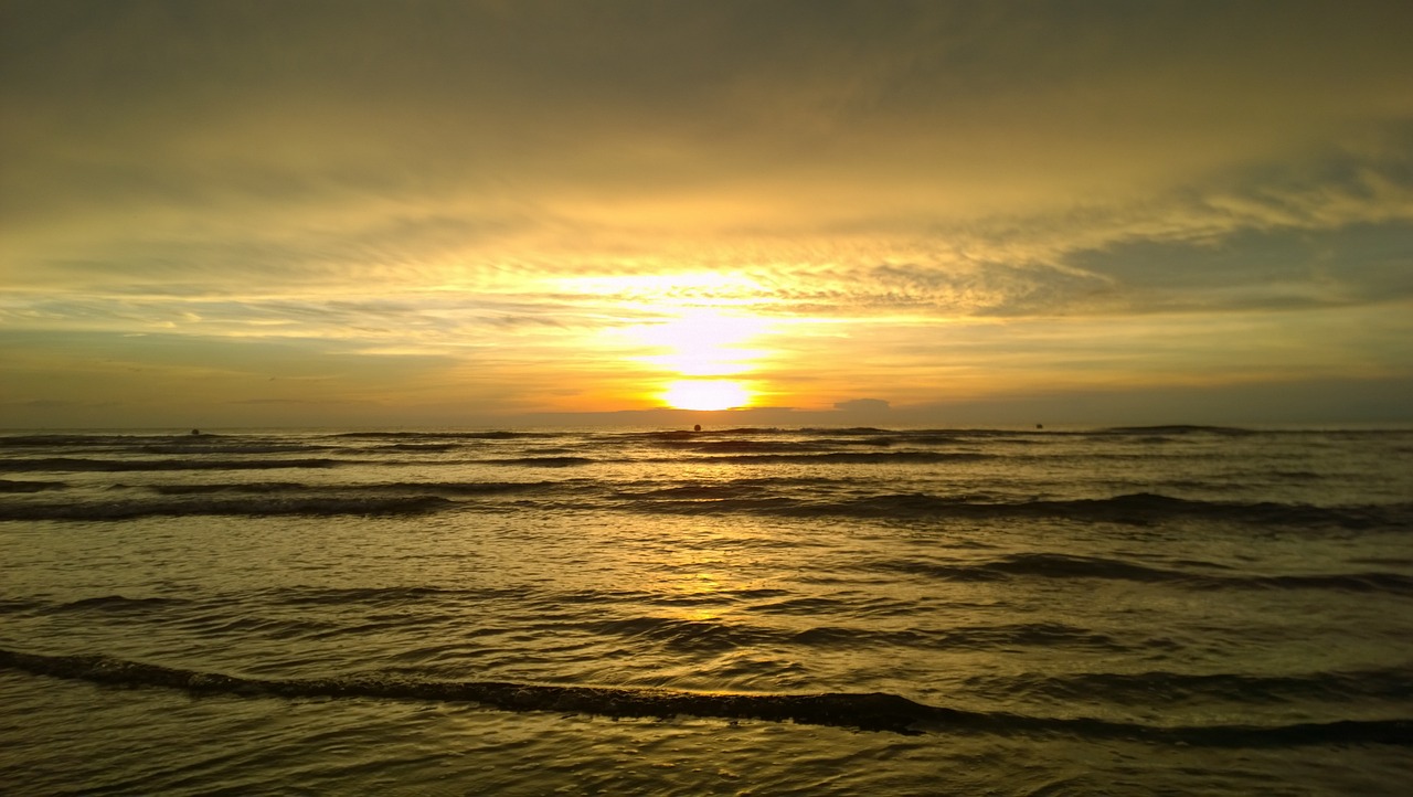 南國的風吹來，回家了！