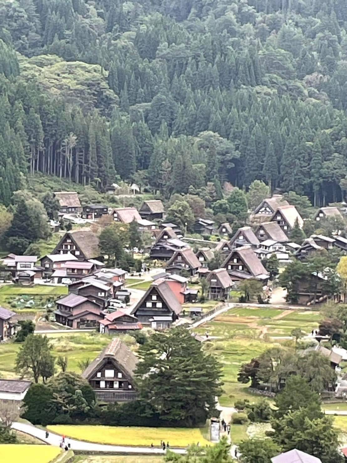 武美琪的斜槓 美食家/美容業者/透過影像拍攝剪輯美食及旅行