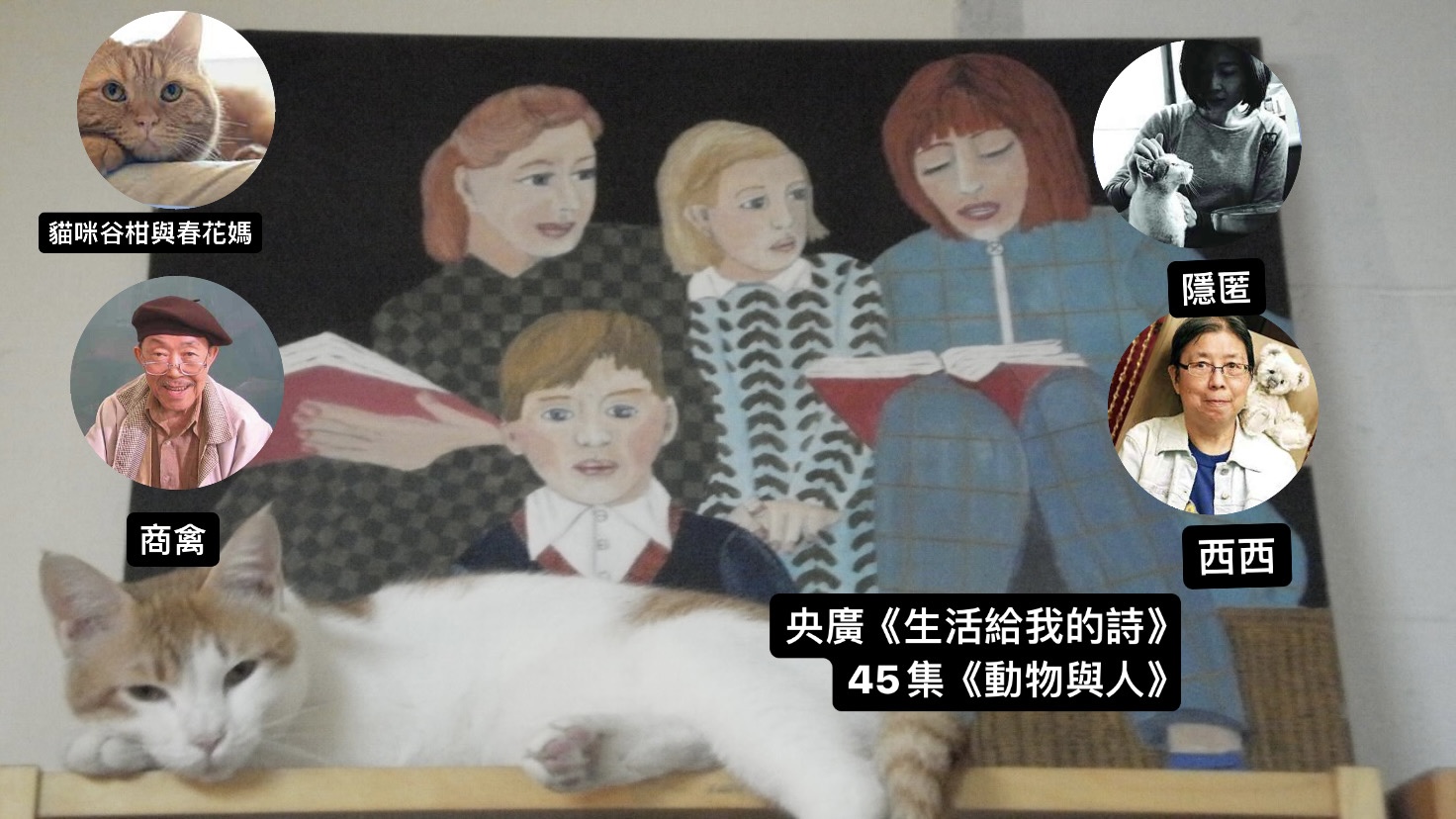 鴻鴻詩人．導演談  動物與人─貓咪谷柑與春花媽、商禽、隱匿、西西 episode artwork