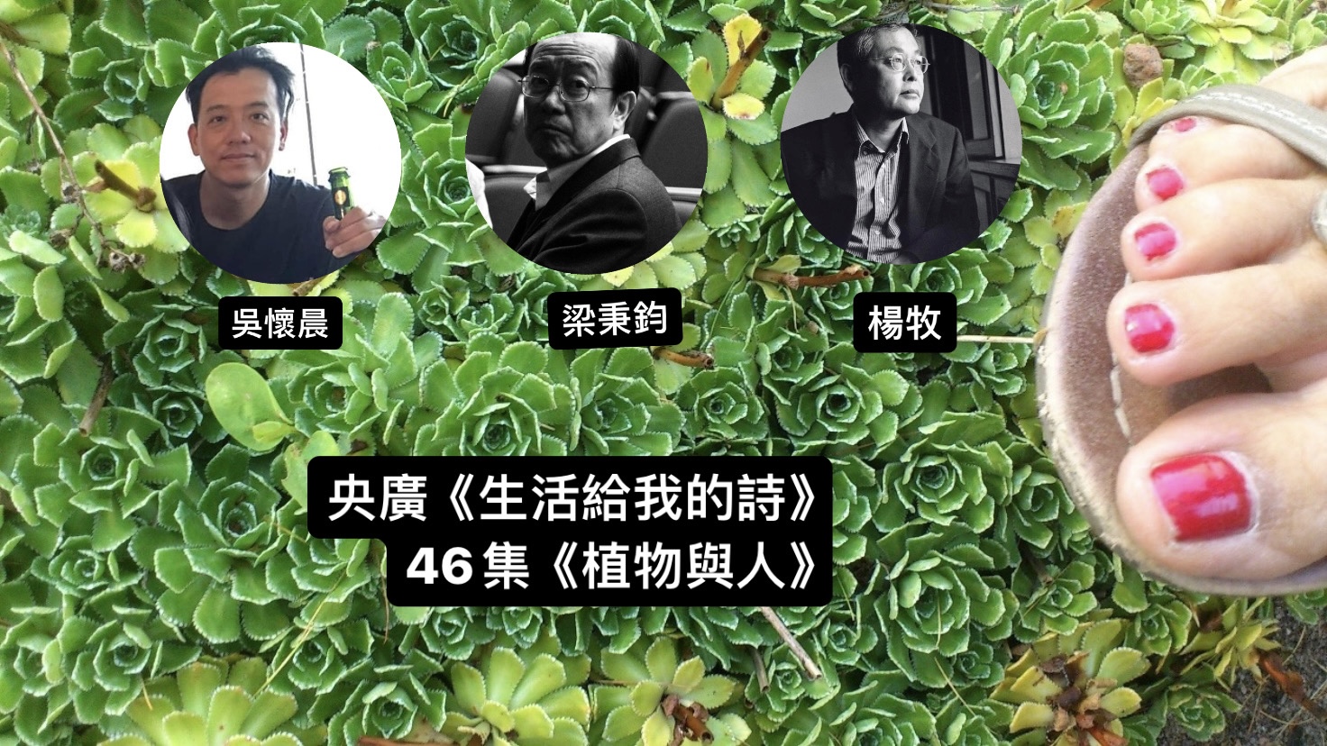 詩人． 導演鴻鴻談  植物與人─楊牧、梁秉鈞、吳懷晨 episode artwork