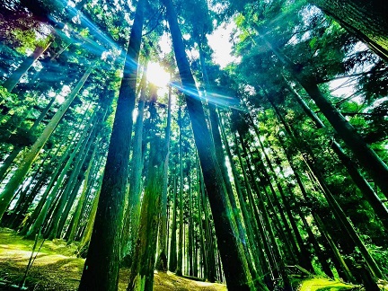 宜蘭秘境「亞爸的山」，盡賞四季的精采！