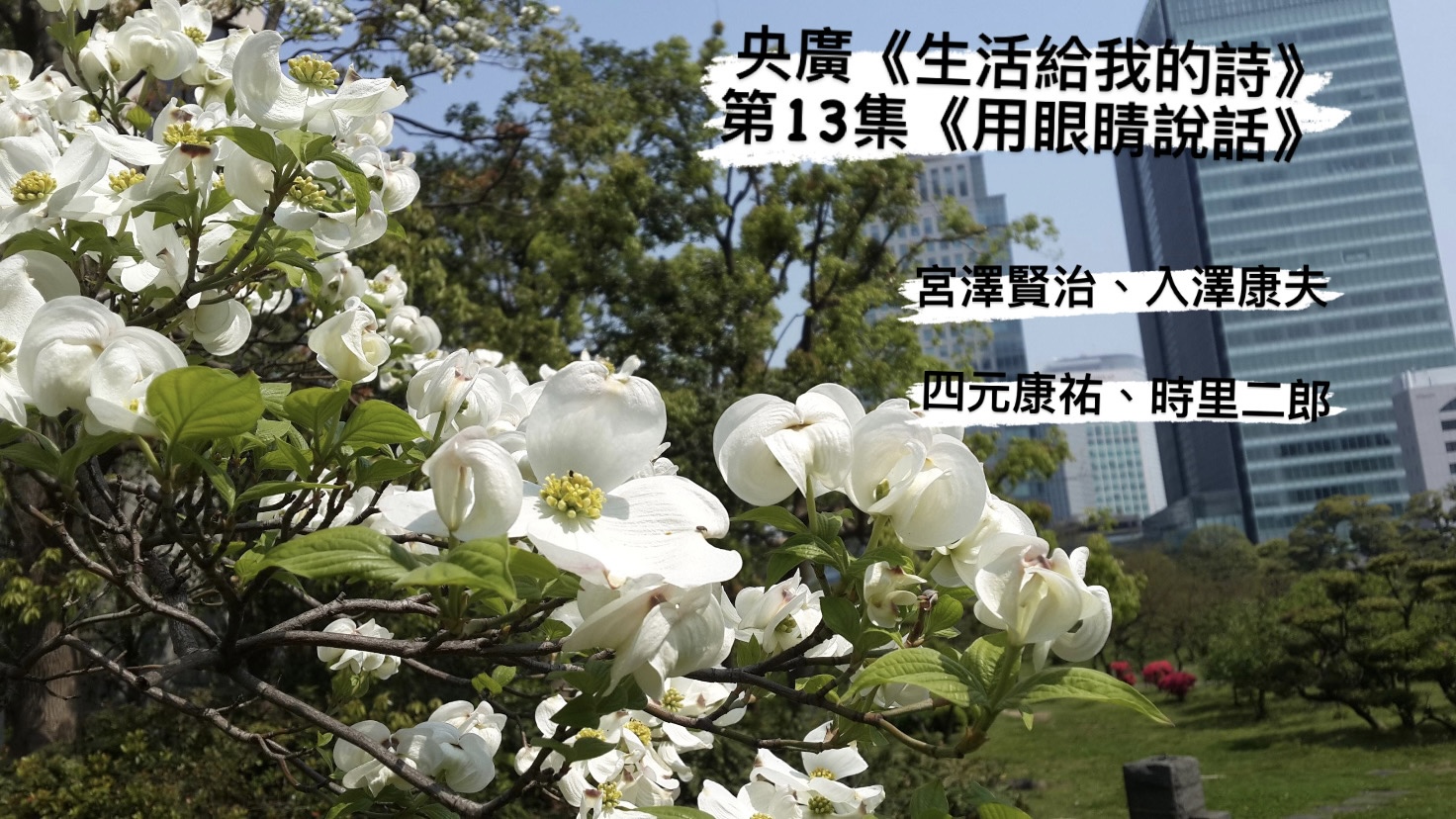 詩人煮雪的人與鴻鴻  談用眼睛說話 episode artwork