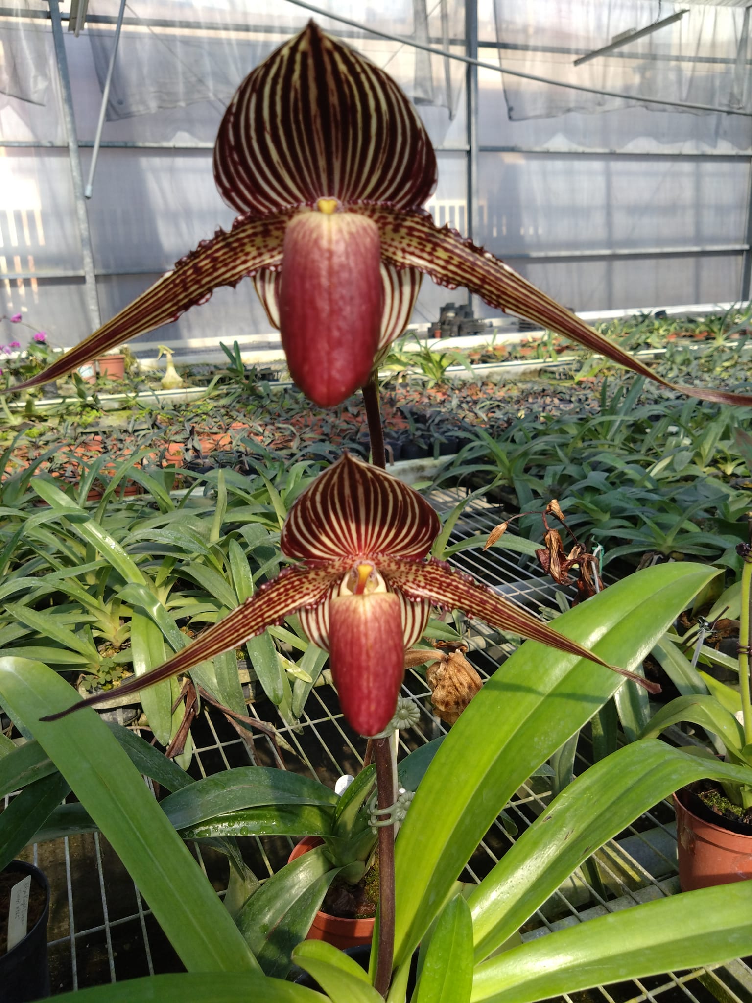 節目-Rti 中央廣播電臺