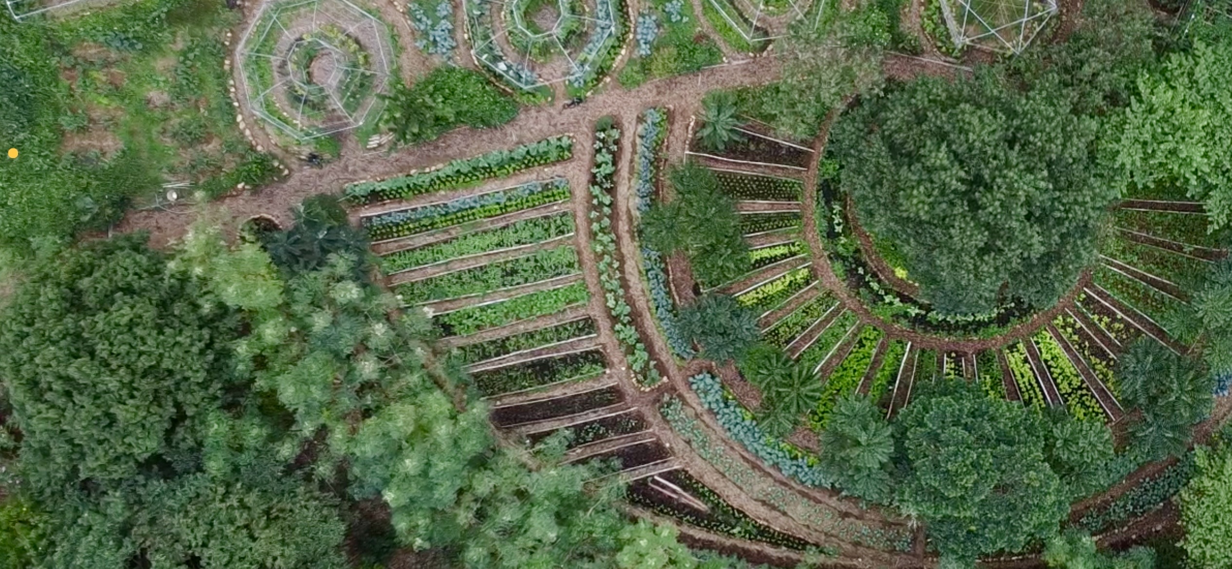 孕育生物多樣性，打造食物森林