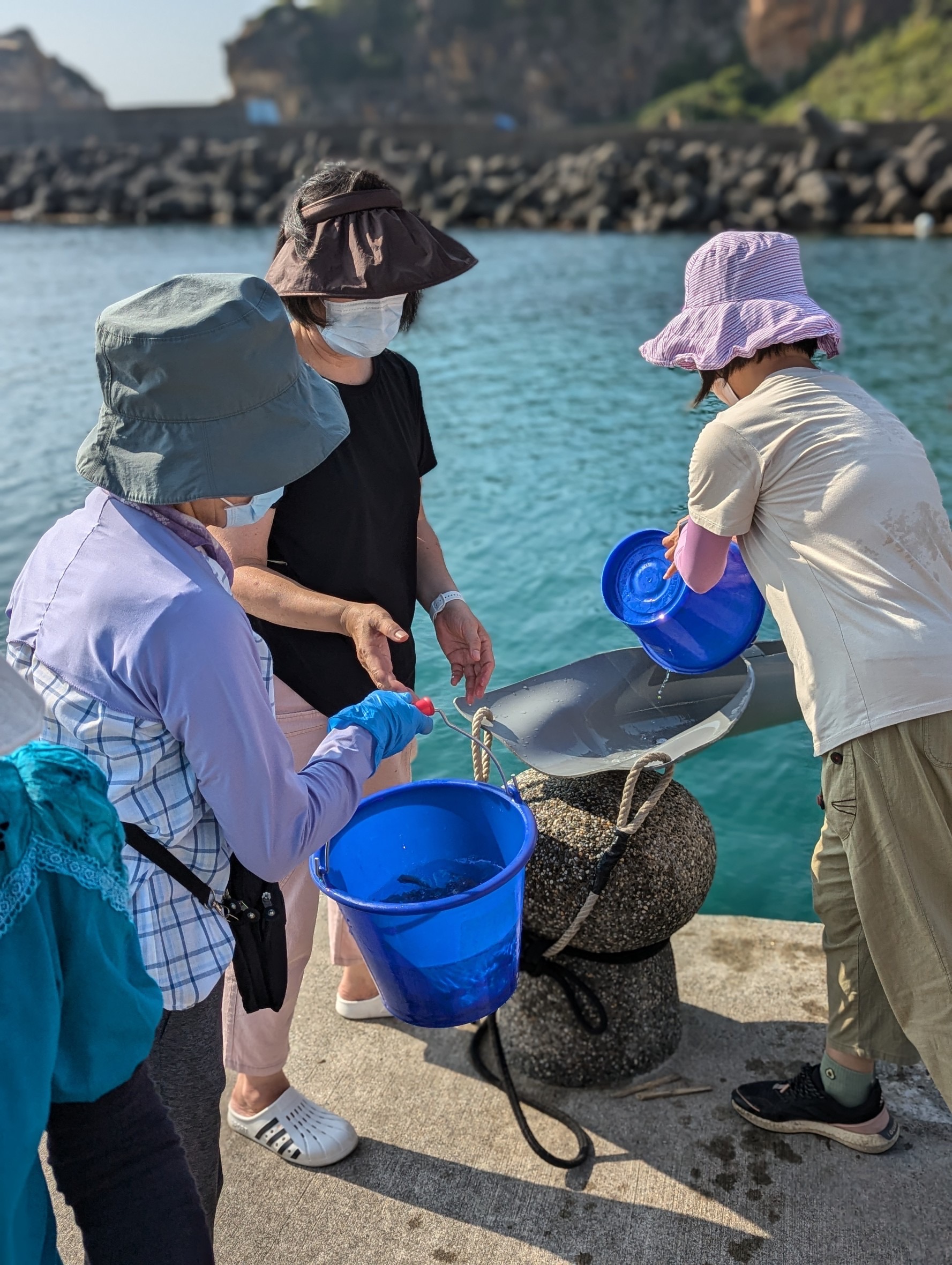 於去年起，放流或放生都必須有上課取得證照的人員帶領