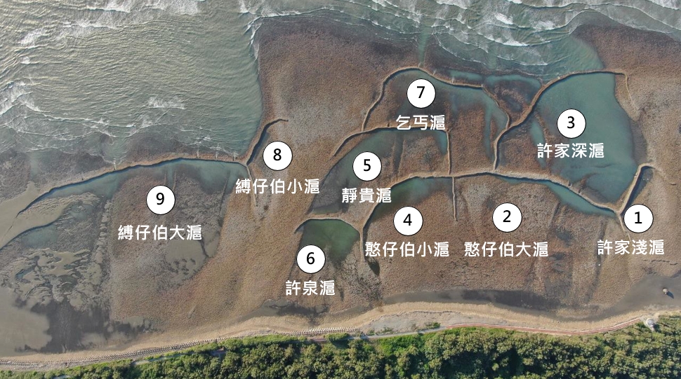 桃園新屋的蚵間石滬分佈如魚鱗，一個石滬由一個家族所有，也由此命名（桃園石滬協會提供）