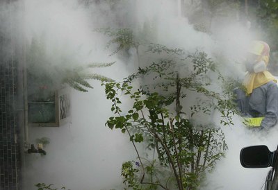 高雄市登革熱疫情發燒（1）