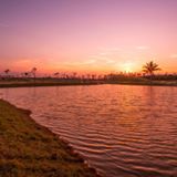 高雄的林園濕地公園  一景