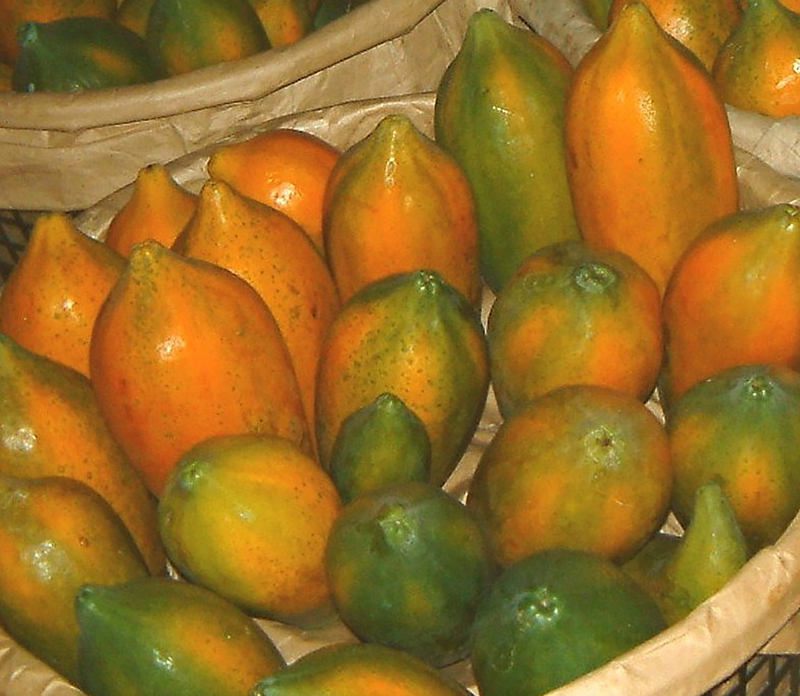 雲林農業產值蟬聯全國第一