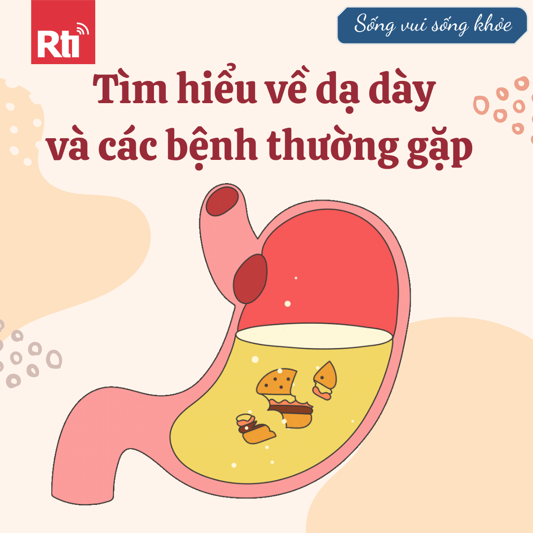 [Sống vui sống khỏe - Tập 127] Tìm hiểu về dạ dày và các bệnh thường gặp episode artwork