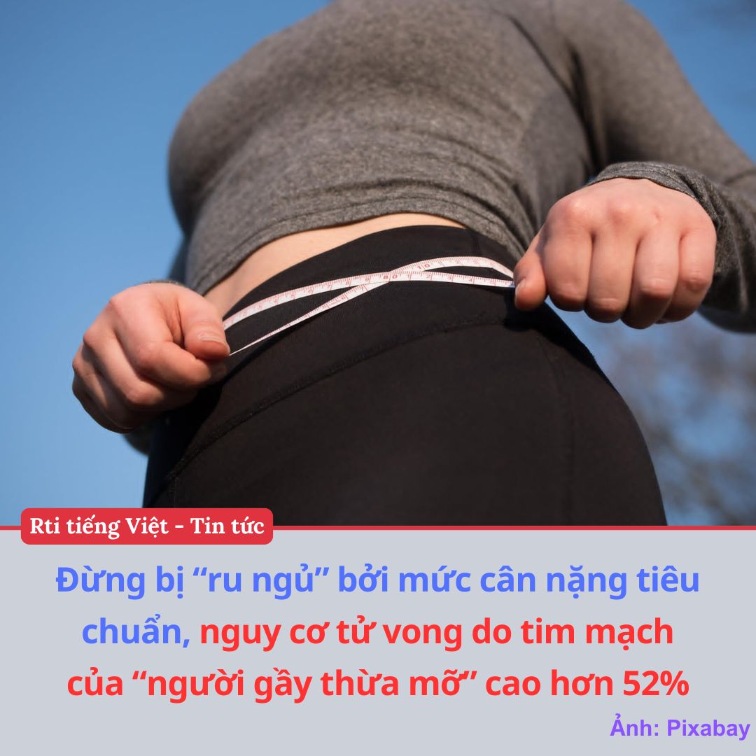 Người gầy thừa mỡ tiềm ẩm nhiều nguy cơ về sức khỏe (Ảnh: Pixabay)